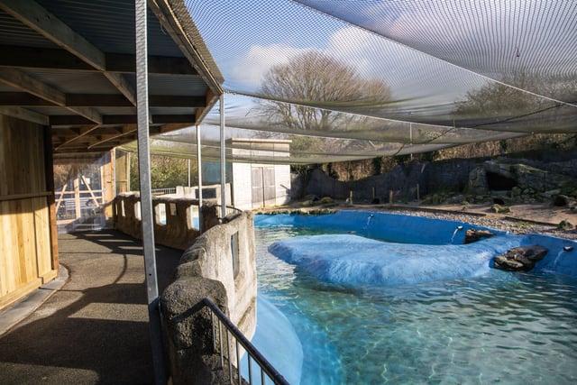 New zoo owners complete first improvement project 