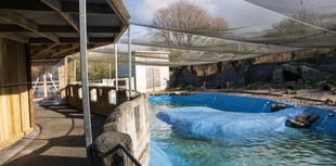 New zoo owners complete first improvement project 