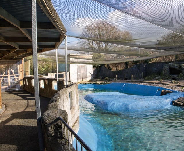 New zoo owners complete first improvement project 