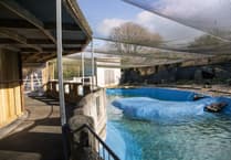 New zoo owners complete first improvement project