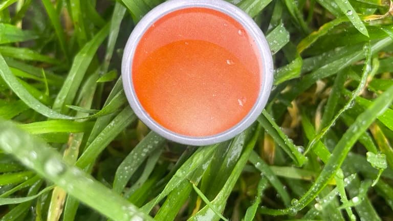 Truro Football Club Teams Up with Orange Button for Mental Health