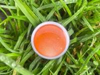 Truro football club announces Orange Button as mental health partner