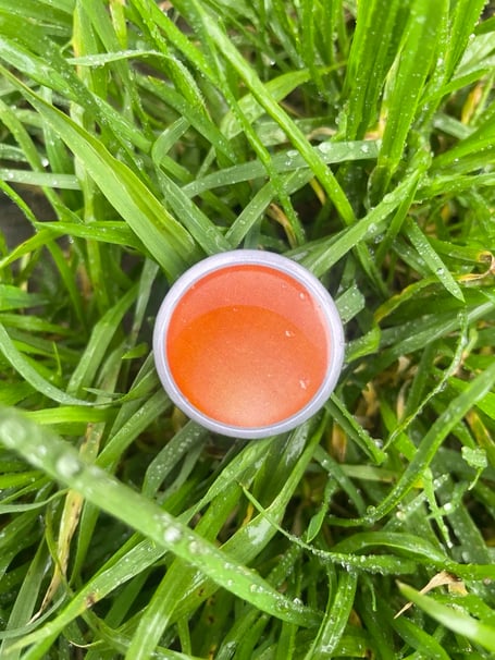 The orange button is a sign that someone is trained and willing to listen