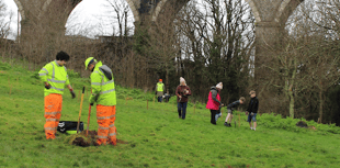 New community woodland takes root in Newquay