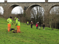 New community woodland takes root in Newquay