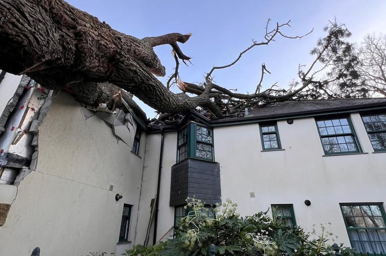The damage sufffered by Catherine and Harold Mills's house when it was hit by a fallen tree. // An elderly couple who lost their home in a storm have moved to their local Wetherspoons. Catherine and Harold Mills were already big fans of their local Spoons and would visit once a week. But after their home was destroyed by a falling tree - forcing them to flee with just a few items of clothing - they were in no doubt of where they wanted to seek refuge. They spent their first night at the pub on 9 January and six weeks later have became part of the furniture - enjoying a cooked breakfast and a dinner from the chain's menu every day - along with a 'nice cheap glass of win.'