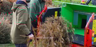 Residents chip in to help make town greener