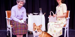 People invited to peer through keyhole of palace for comedy show