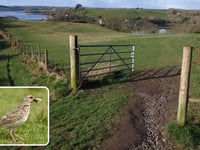 Nature reserve issues stark warning to dog owners