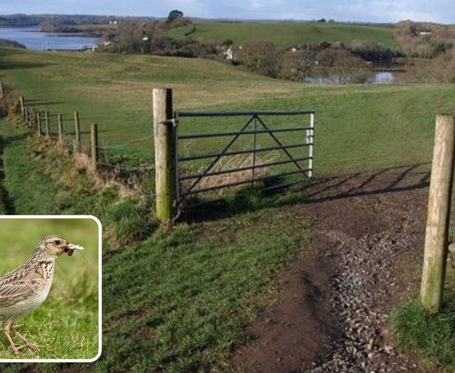 Nature reserve issues stark warning to dog owners
