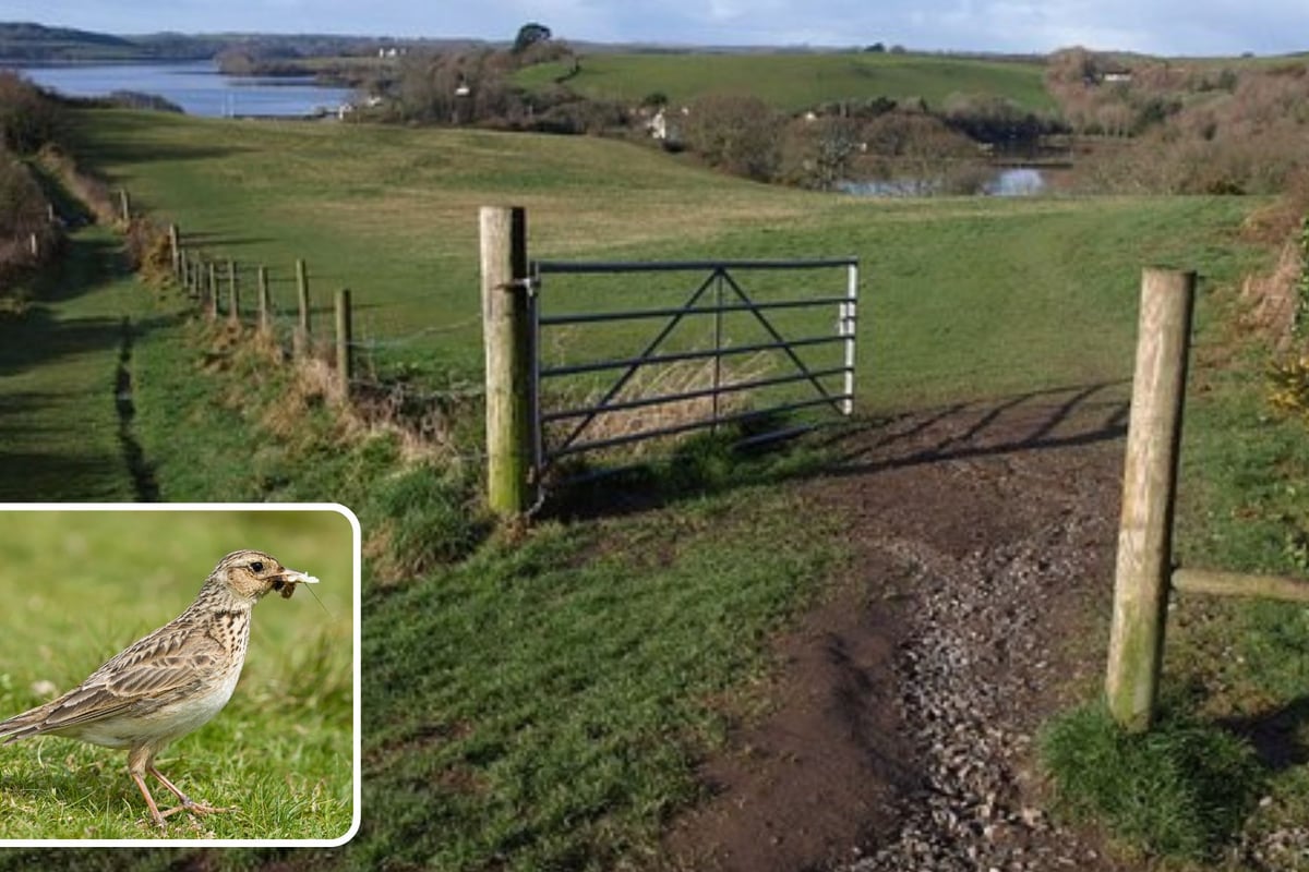 Nature reserve issues stark warning to dog owners
