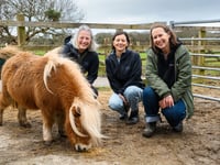 Animal sanctuary launches appeal after facilities destroyed