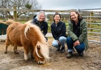 Animal sanctuary launches appeal after facilities destroyed