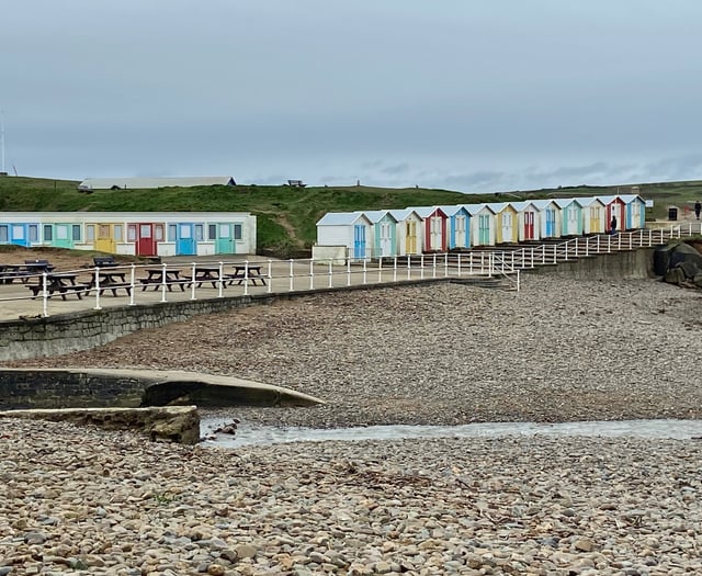 Quality beach where first surf lifesaving club began