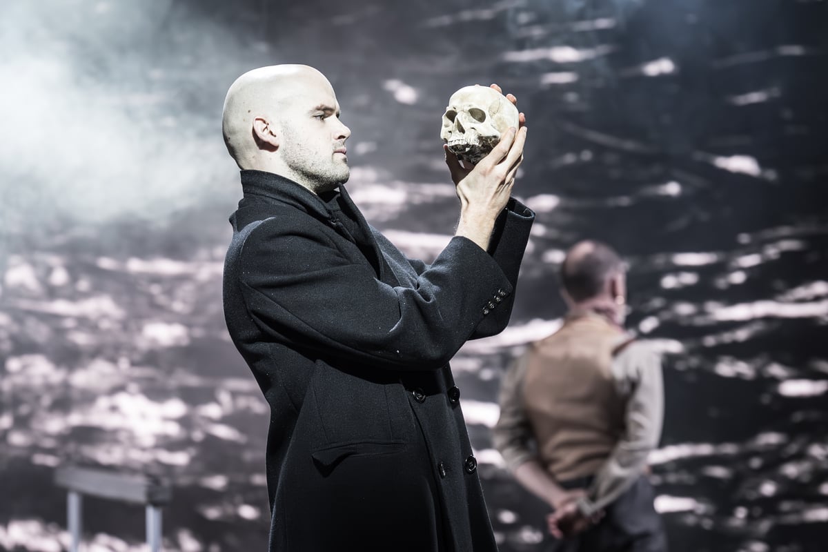 REVIEW: Hamlet on the Titanic - and why not?