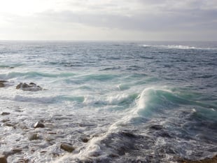 Pollution sparks major water quality summit in Cornwall