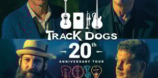 Plans drawn up for popular arts festival