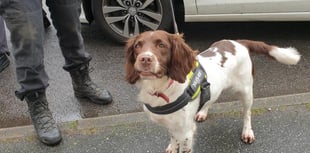 Suspected heroin and methadone seized in Camborne drug bust