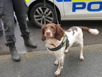 Suspected heroin and methadone seized in Camborne drug bust