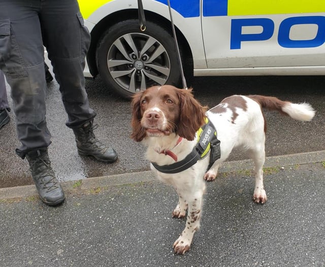 Suspected heroin and methadone seized in Camborne drug bust