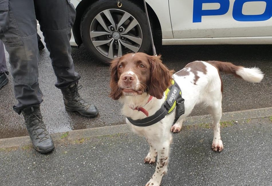 Suspected heroin and methadone seized in Camborne drug bust