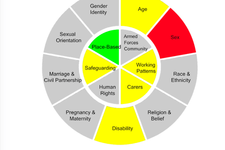 Cornwall Council's 'decision wheel' shows an identified risk for women and girls. (Picture: Cornwall Council)