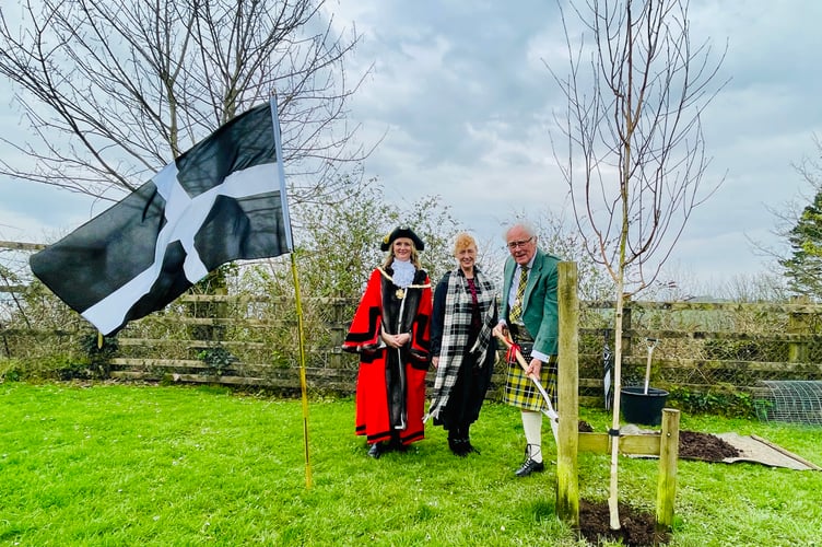 Saltash town mayor, Cllr Rachel Bullock, Cornwall councillor Hilary Frank and deputy mayor Brian Stoyel help plant the silver birch tree