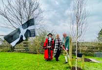 Tree planting project helps make Saltash greener