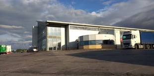 Mole Valley Farmers to host 'calf expo' event 