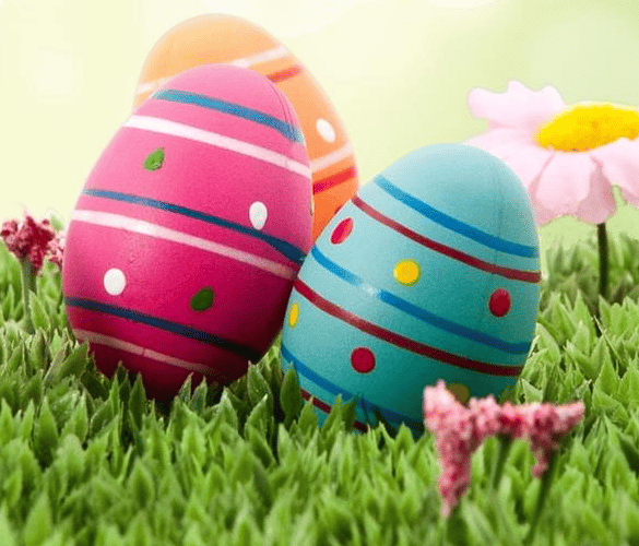 There will be stalls selling books, cakes and good as new items