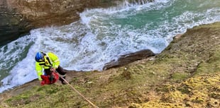 Dog rescued after slipping down cliff