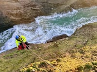 Dog rescued after slipping down cliff