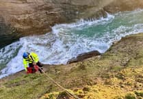 Dog rescued after slipping down cliff