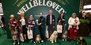Dog owner narrowly misses ultimate crossbreed prize 