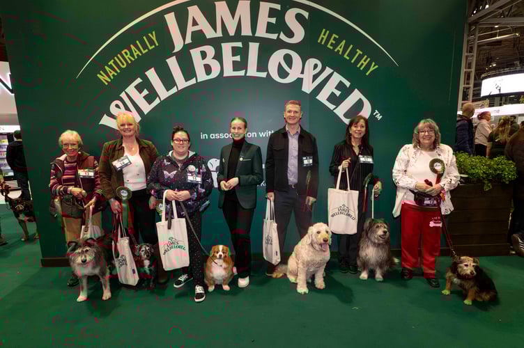 (L-R)Angela Donald with Worzel, Julie Long with Roscoe, Emma Edwards with Fudge, Sonja Hartomo - James Wellbeloved Brand Manager, Sam Dunn with Bailey, Hazel Smith with Lucy and Lyn Freeman with Marnie, The Golden Oldie Dog Scruffts groups at James Wellbeloved stand, today (07.03.26), the third day of Crufts 2026.Please credit: Royal Kennel Club/BeatMedia