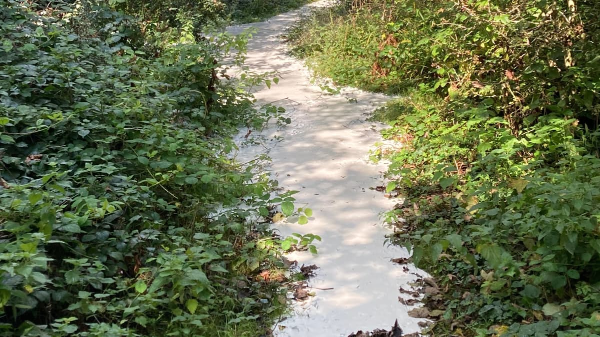 Company agrees to pay £430,000 following pollution