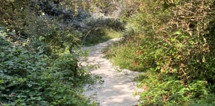 Imerys charity donation in recompense for pollution 