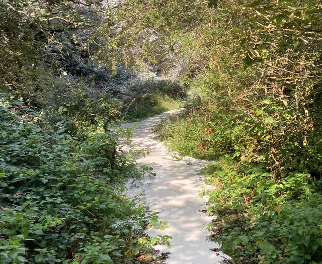 Imerys charity donation in recompense for pollution 