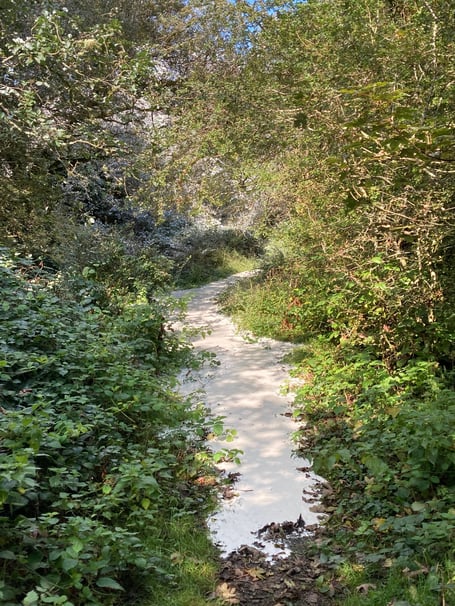 Clay slurry flowing down footpath in Goonamarris