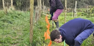 Volunteers dig deep for hedgetravaganza 