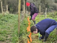 Volunteers dig deep for hedgetravaganza 