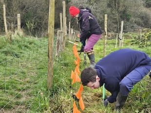 Volunteers dig deep for hedgetravaganza 