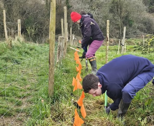 Volunteers dig deep for hedgetravaganza 