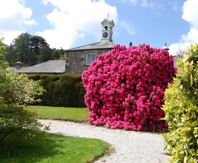 Trevince welcomes visitors to explore its gardens