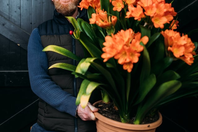 Entry deadline extended for Spring Flower Show competitive classes
