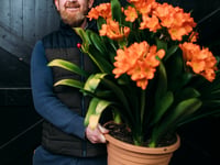 Entry deadline extended for Spring Flower Show competitive classes