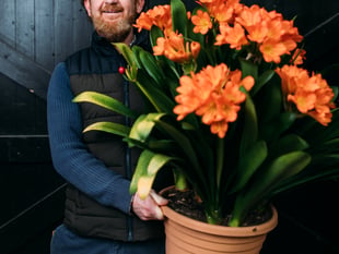 Entry deadline extended for Spring Flower Show competitive classes