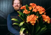 Entry deadline extended for 2026 Spring Flower Show competitive classes