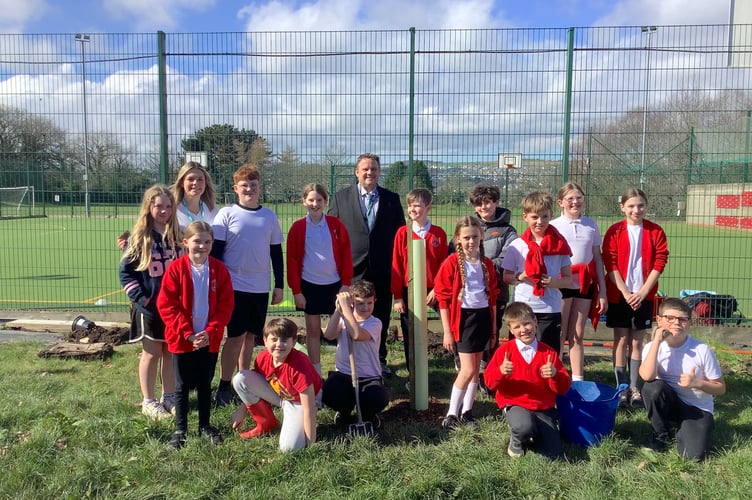 The trees have been planted at Charlestown Primary School, near St Austell.