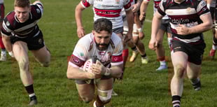 Taunton halt Camborne’s dominance at home